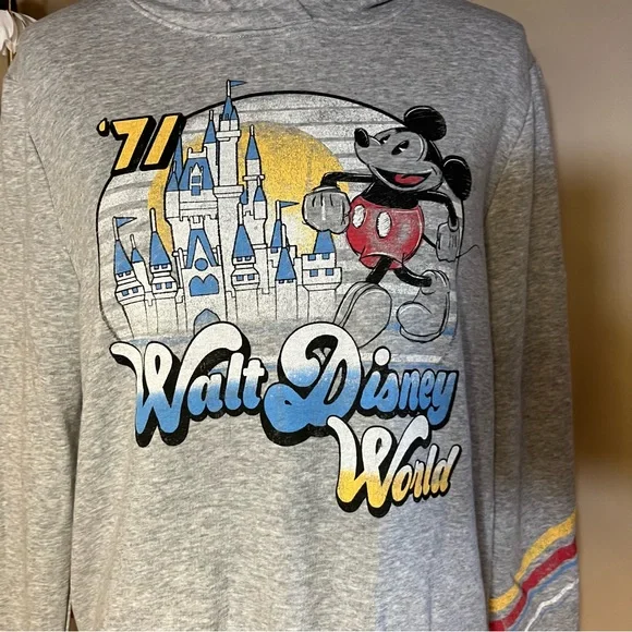 ‘71 Walt Disney World Parks Grey Hoodie - Picture 2 of 6